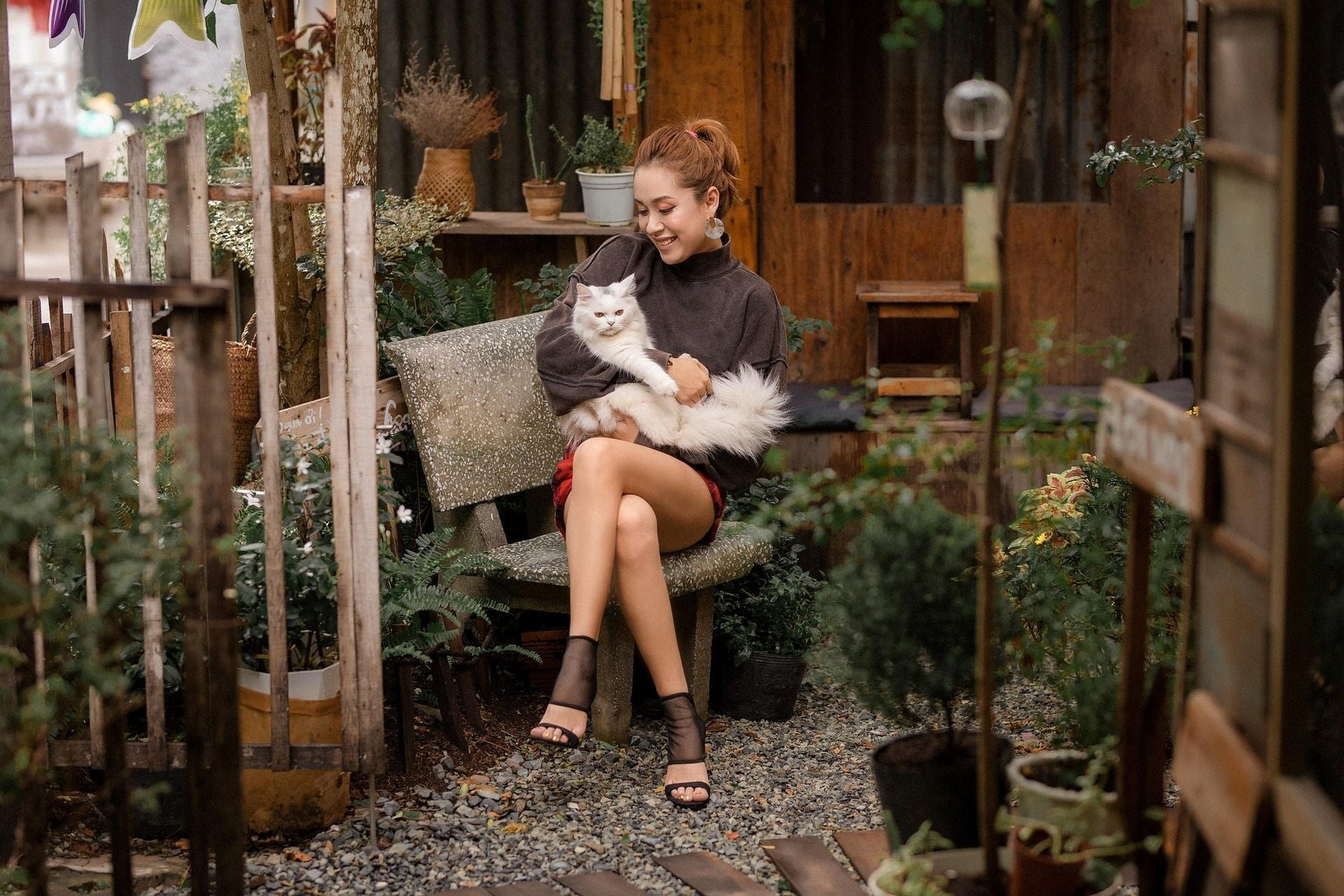 "Mi gato pierde mucho pelo" Descubre la verdad incómoda que detrás - Tienda Gatos