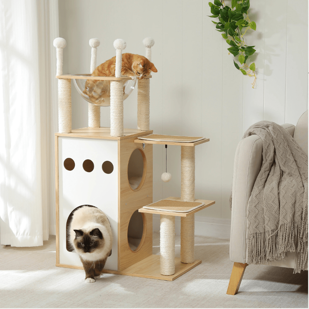Atalaya Paraíso – Colección Wood Essentials - Tienda Gatos