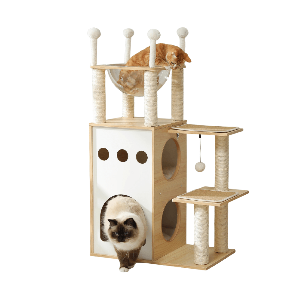 Atalaya Paraíso – Colección Wood Essentials - Tienda Gatos