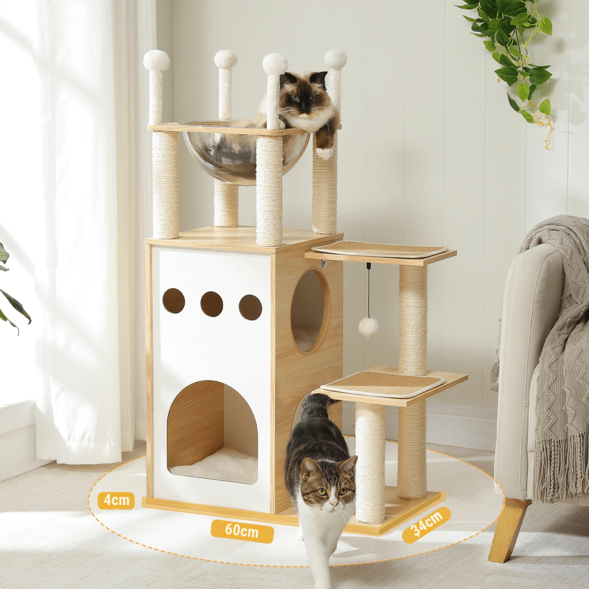 Atalaya Paraíso – Colección Wood Essentials - Tienda Gatos