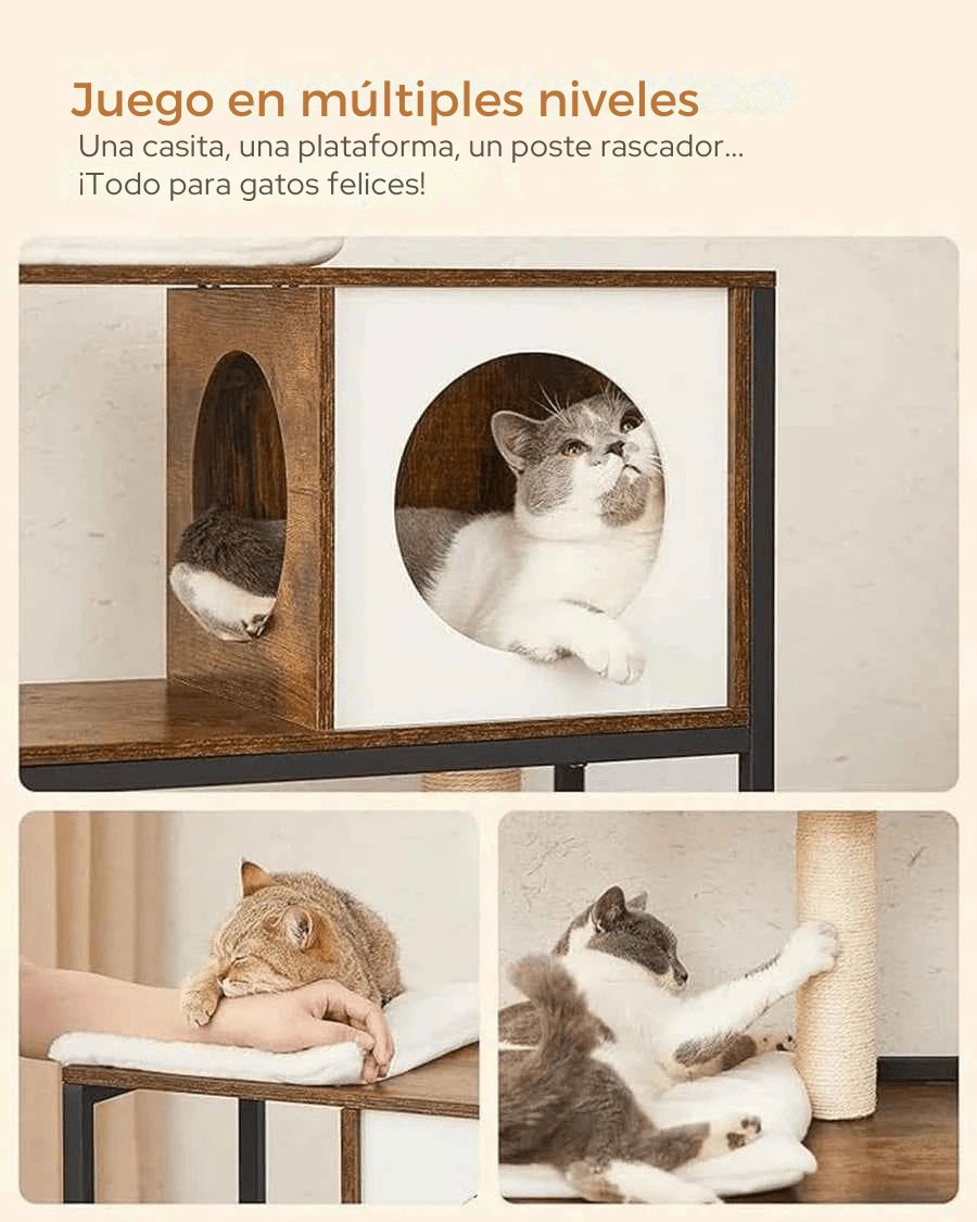 Duo Complex – Colección Wood Essentials - Tienda Gatos