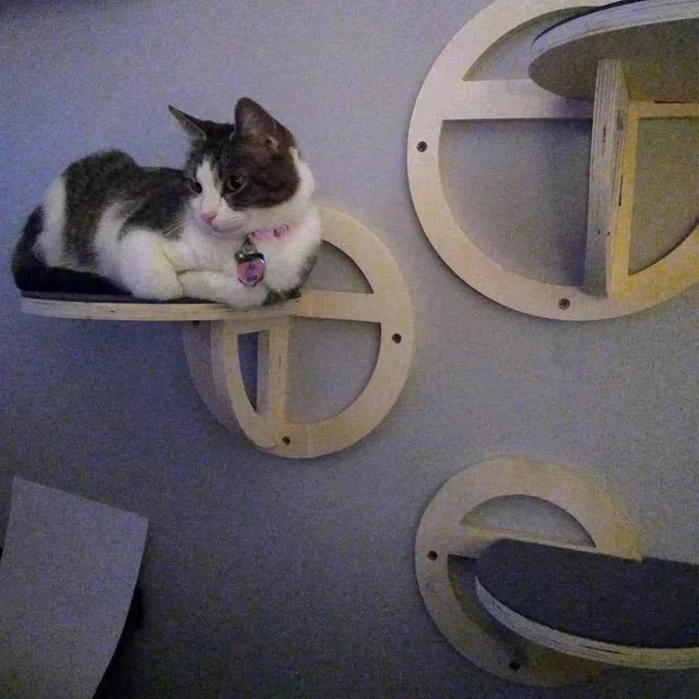 Mirador Orbital - Colección Vertical Horizons - Tienda Gatos