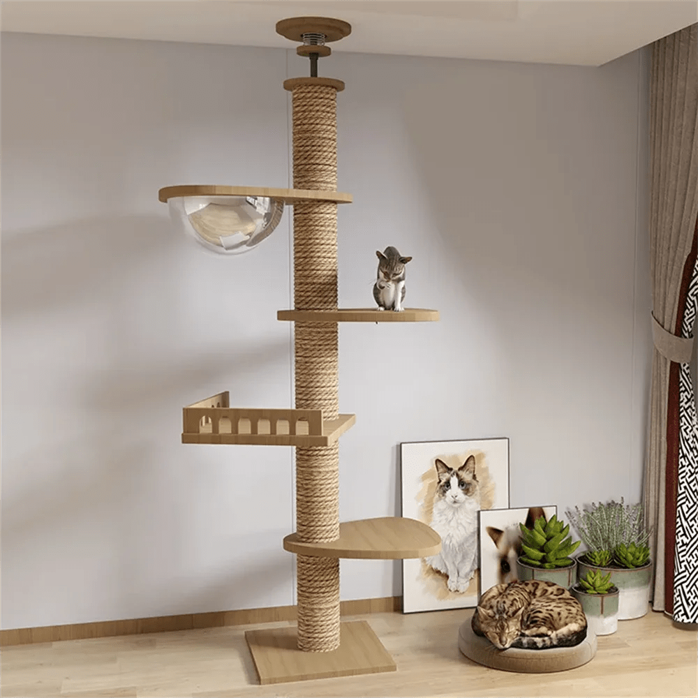 Palacio Relax - Colección Vertical Horizons - Tienda Gatos