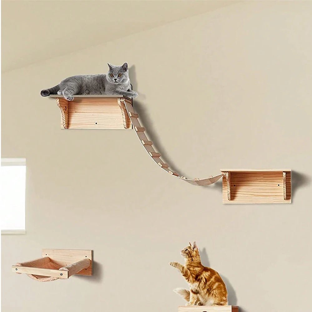 Skywalk Duo - Colección Vertical Horizons - Tienda Gatos