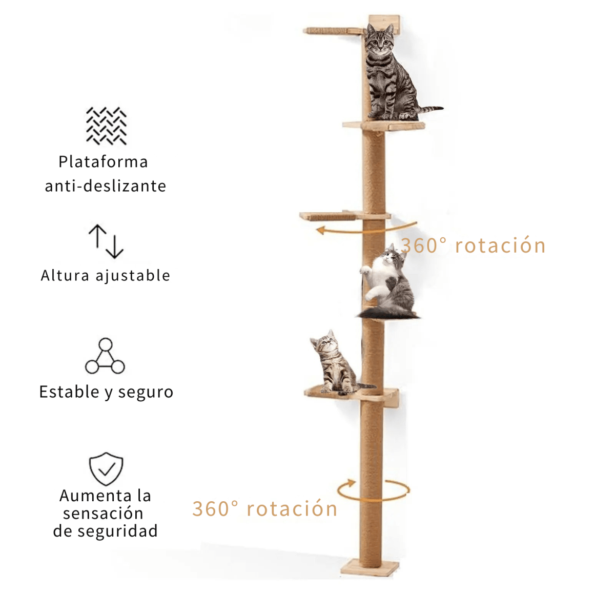 Stair to Heaven - Colección Vertical Horizons - Tienda Gatos