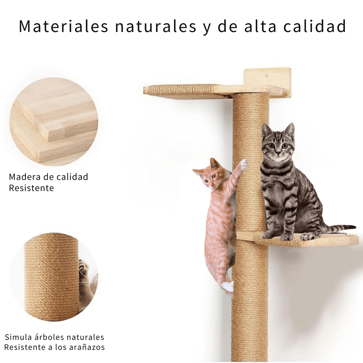 Stair to Heaven - Colección Vertical Horizons - Tienda Gatos