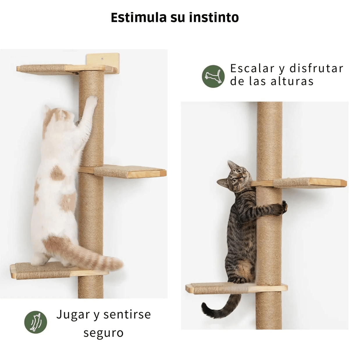 Stair to Heaven - Colección Vertical Horizons - Tienda Gatos
