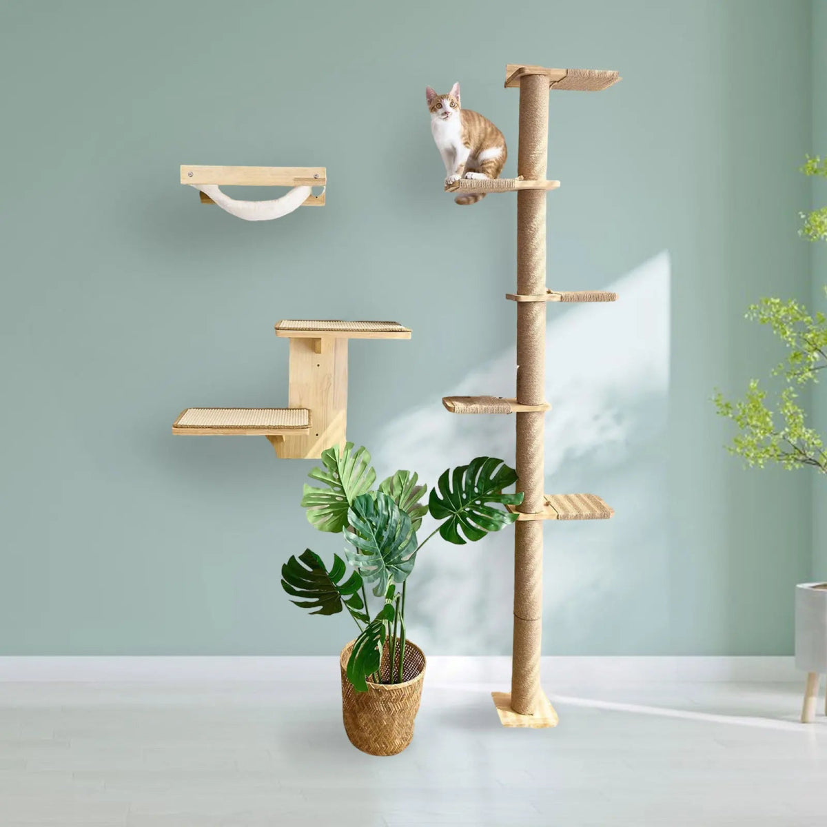 Stair to Heaven - Colección Vertical Horizons - Tienda Gatos