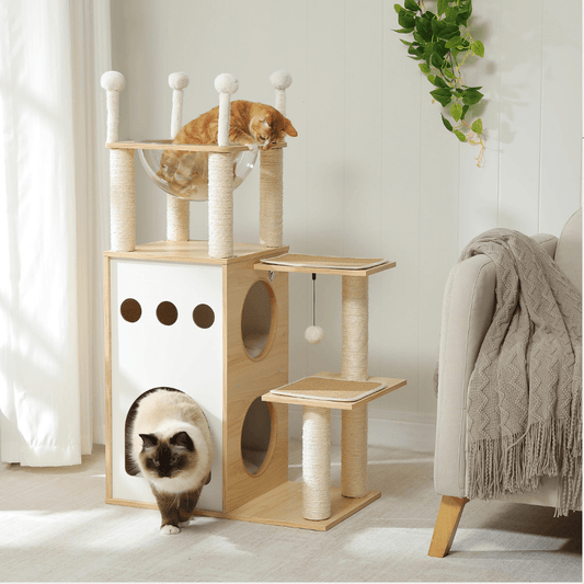 Atalaya Paraíso – Colección Wood Essentials - Tienda Gatos