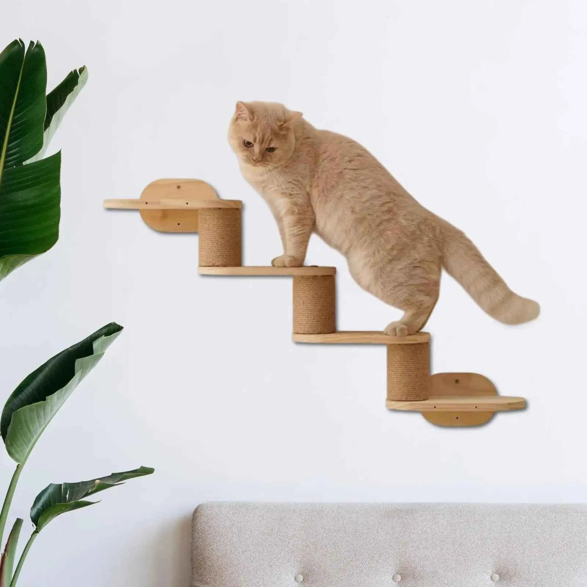 Escalera Altus – Colección Vertical Horizons - Tienda Gatos