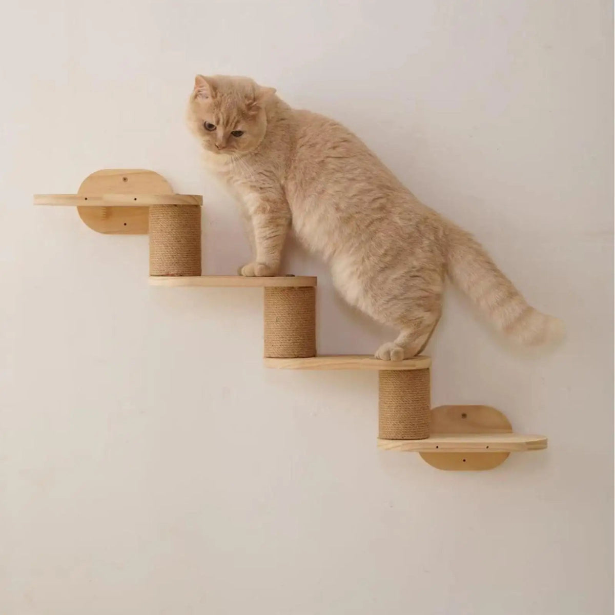 Escalera Altus – Colección Vertical Horizons - Tienda Gatos