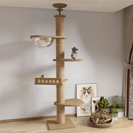 Palacio Relax - Colección Vertical Horizons - Tienda Gatos