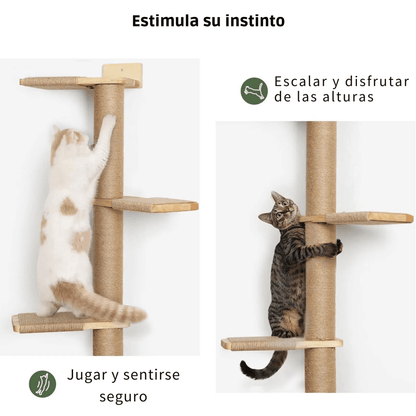 Stair to Heaven - Colección Vertical Horizons - Tienda Gatos
