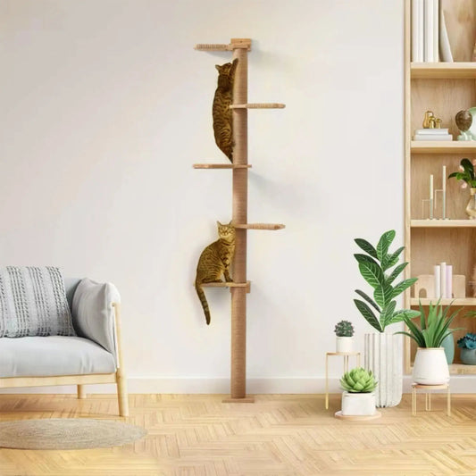 Stair to Heaven - Colección Vertical Horizons - Tienda Gatos